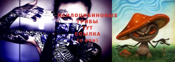 МДПВ Абаза