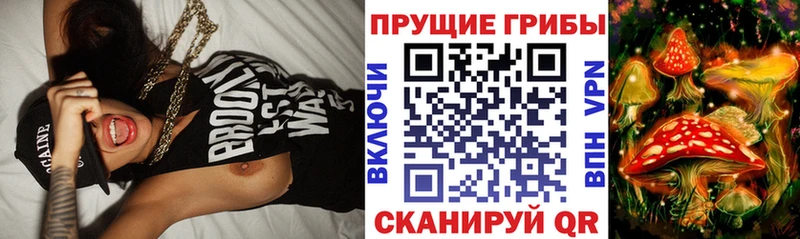 маркетплейс Telegram  Юхнов  Псилоцибиновые грибы MAGIC MUSHROOMS  цена  